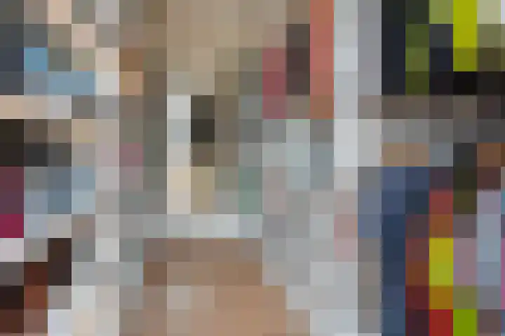 Hanenhof 35 De Zilk thumbnail 26