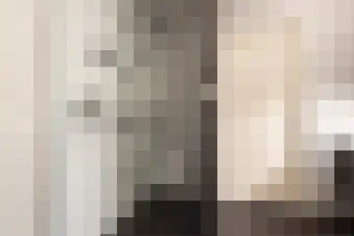Hanenhof 35 De Zilk thumbnail 31
