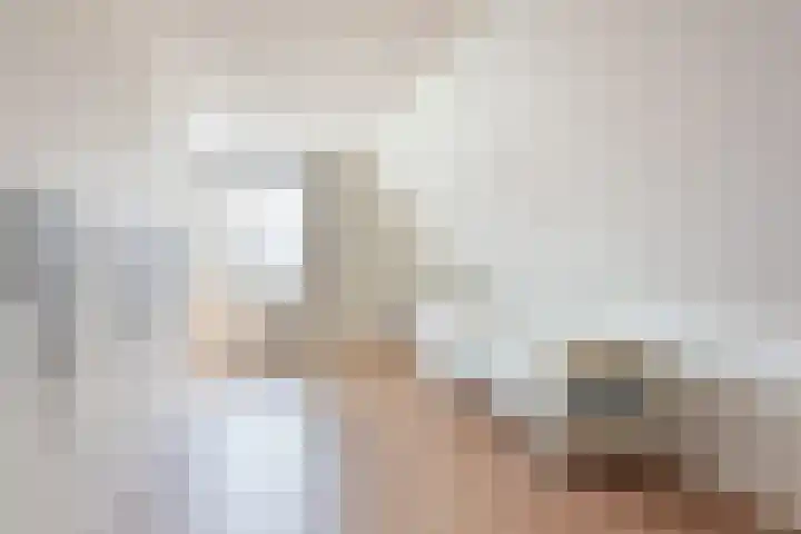 Hanenhof 35 De Zilk thumbnail 33