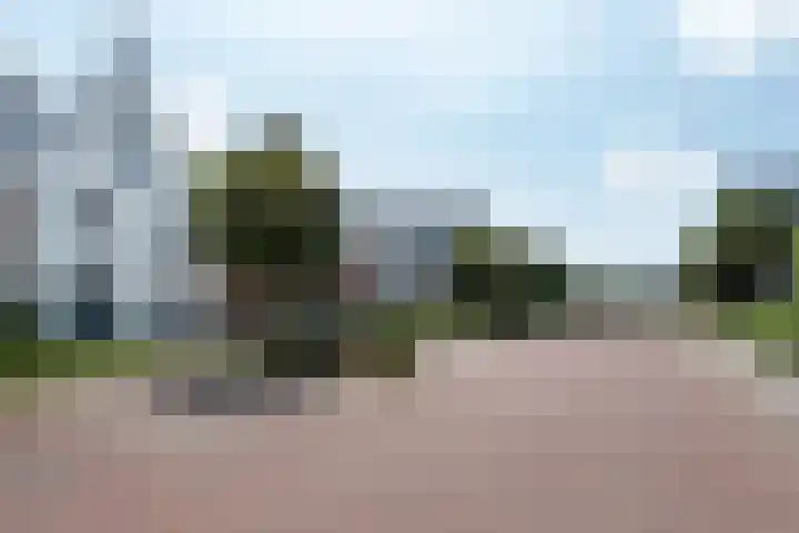 Hanenhof 35 De Zilk thumbnail 37