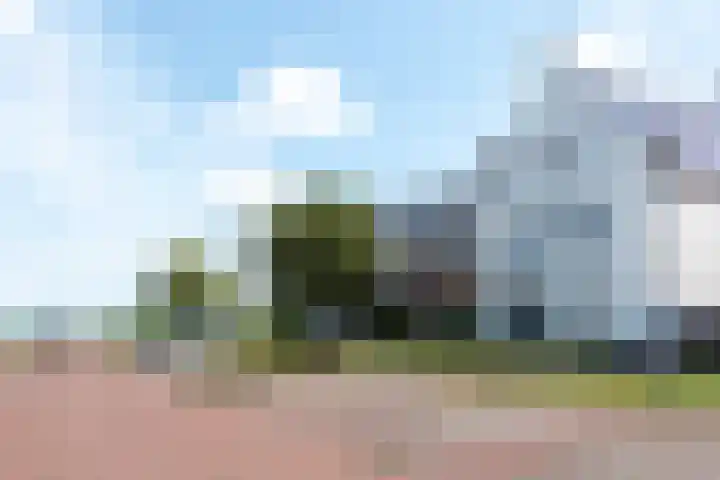 Hanenhof 35 De Zilk thumbnail 5