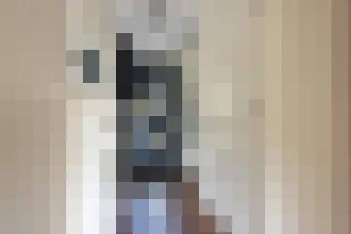 Hanenhof 35 De Zilk thumbnail 7