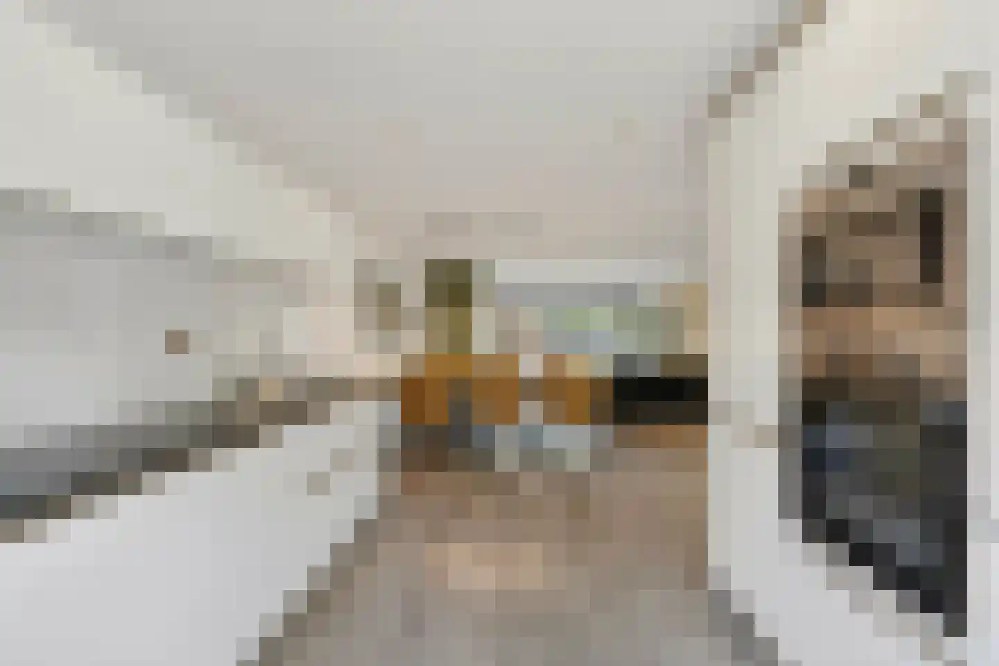 Hanenpad 12 Zaandam thumbnail 20