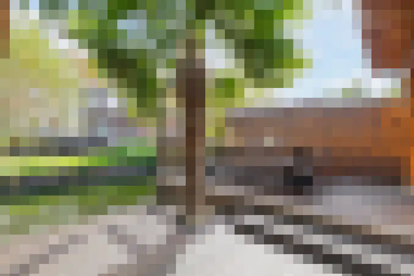 Hanenpad 12 Zaandam thumbnail 40