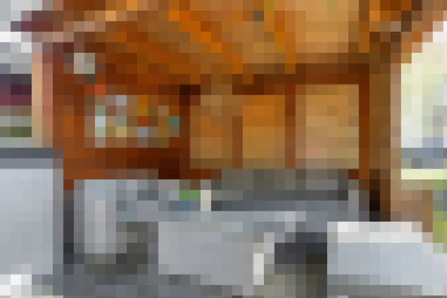 Hanenpad 12 Zaandam thumbnail 42