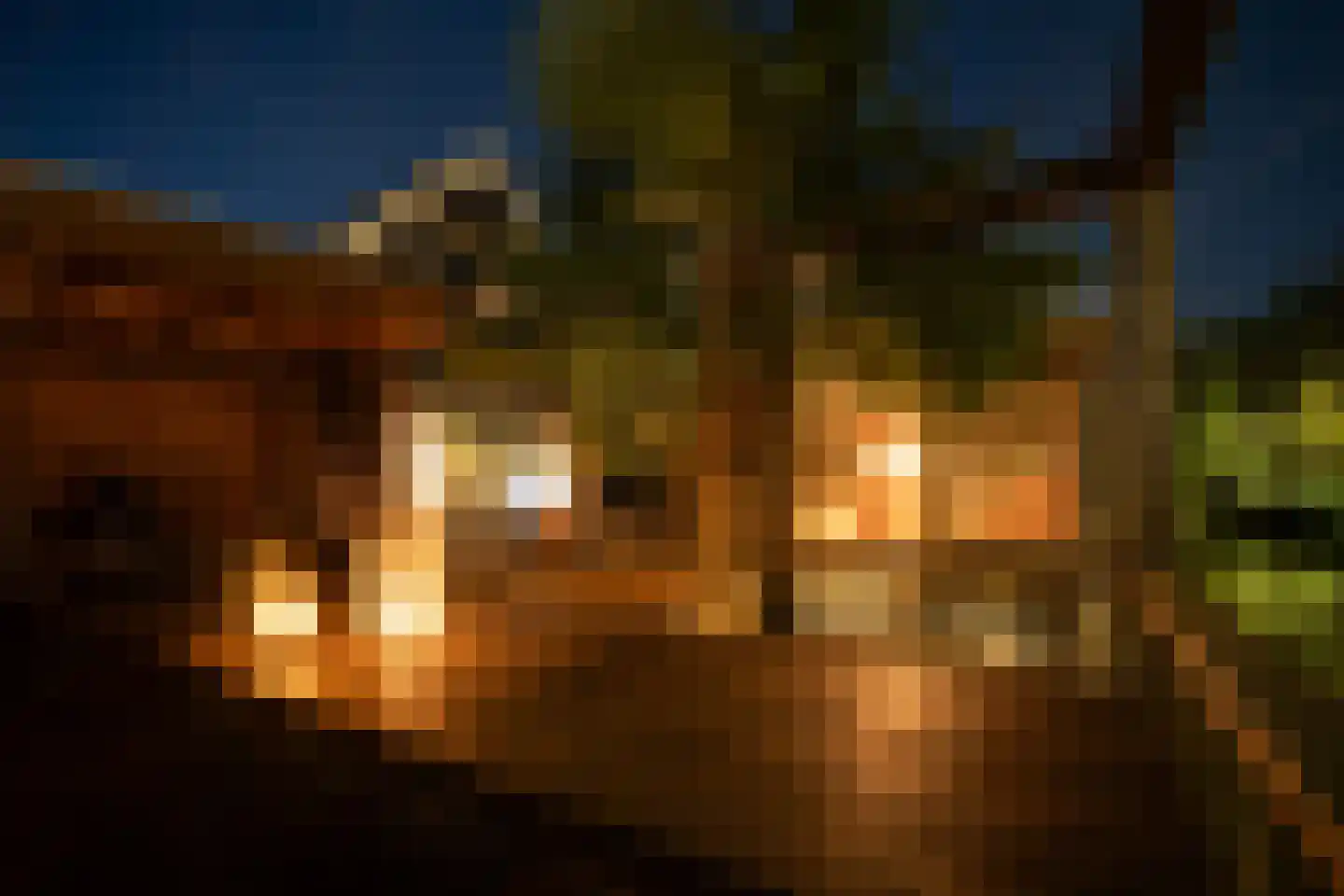 Hanenpad 12 Zaandam thumbnail 45
