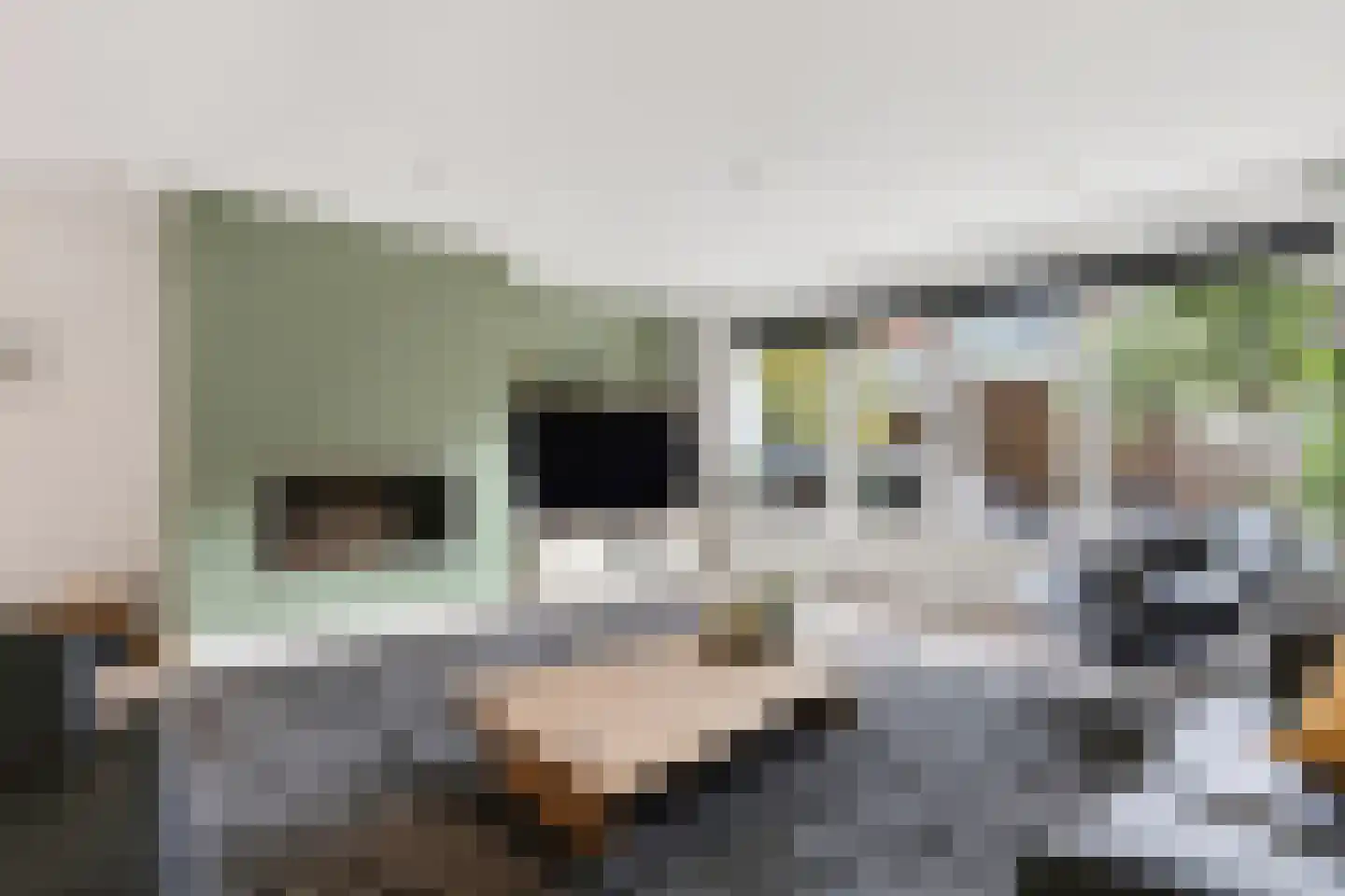 Hanenpad 12 Zaandam thumbnail 6