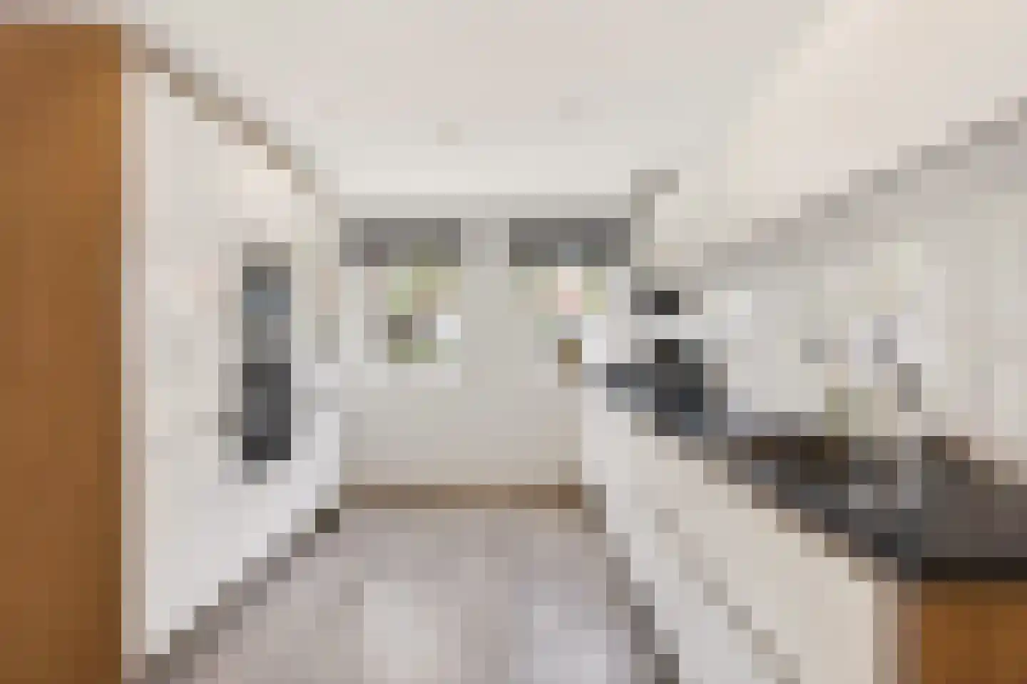 Hanenpad 12 Zaandam thumbnail 7