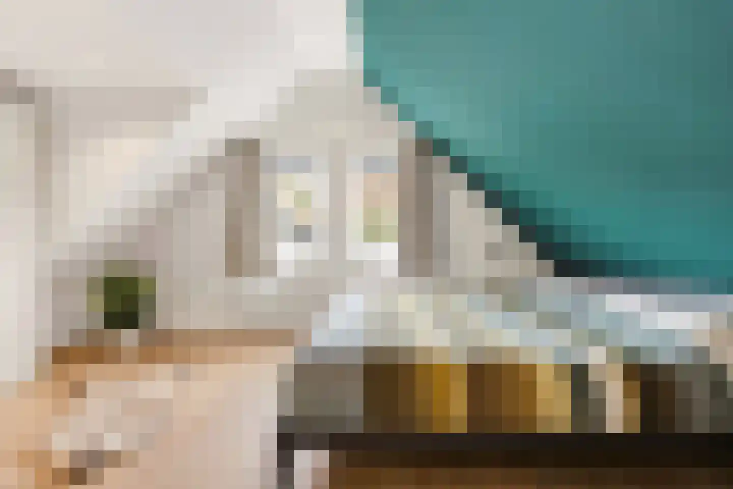 Hanenpad 12 Zaandam thumbnail 8
