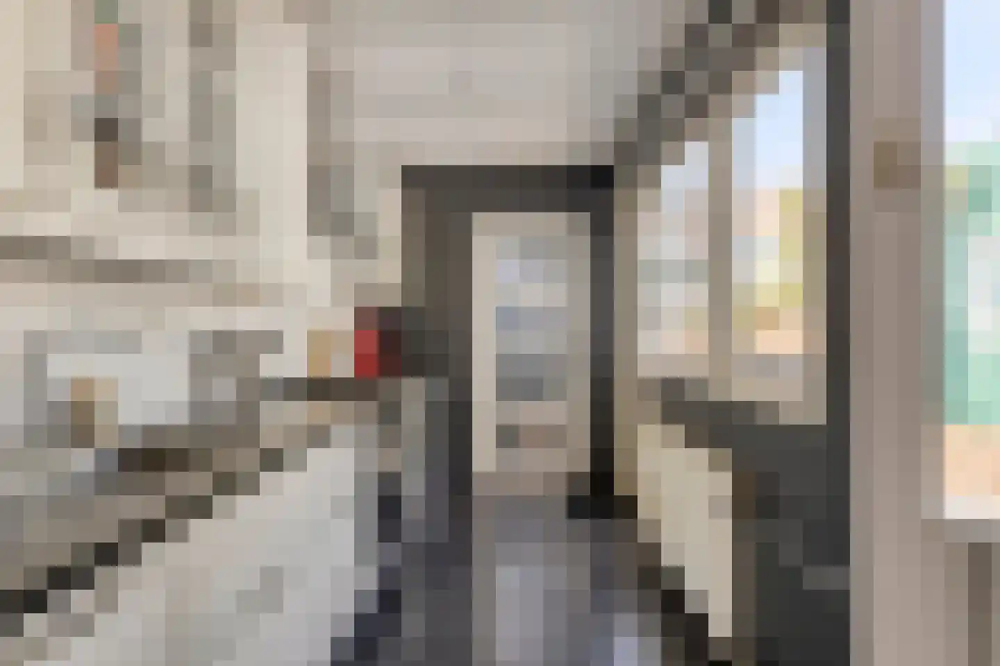 Hanenpad 23 Zaandam thumbnail 11