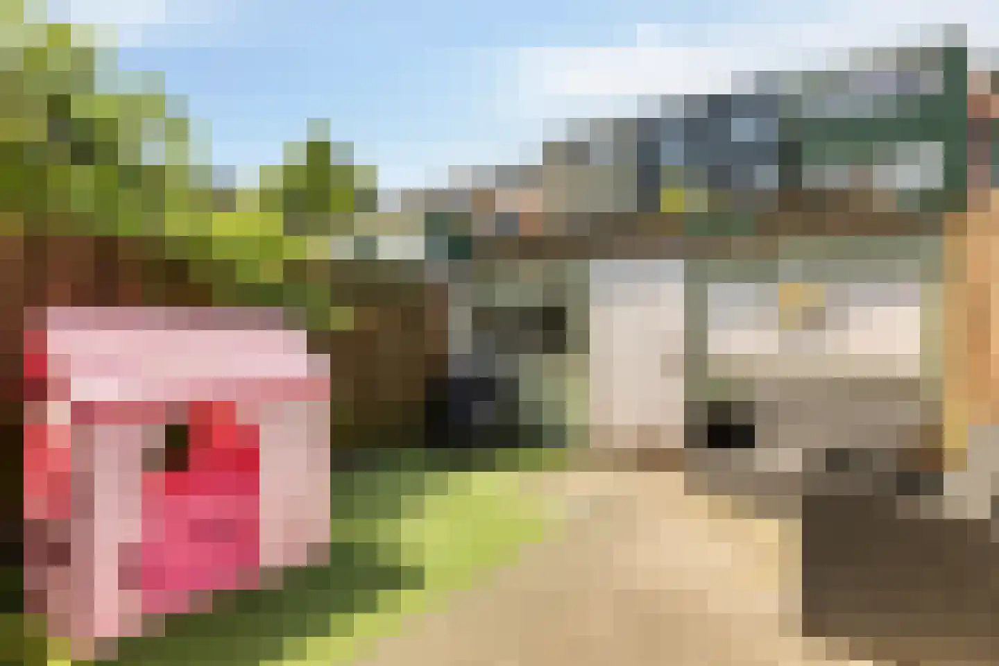 Hanenpad 23 Zaandam thumbnail 13