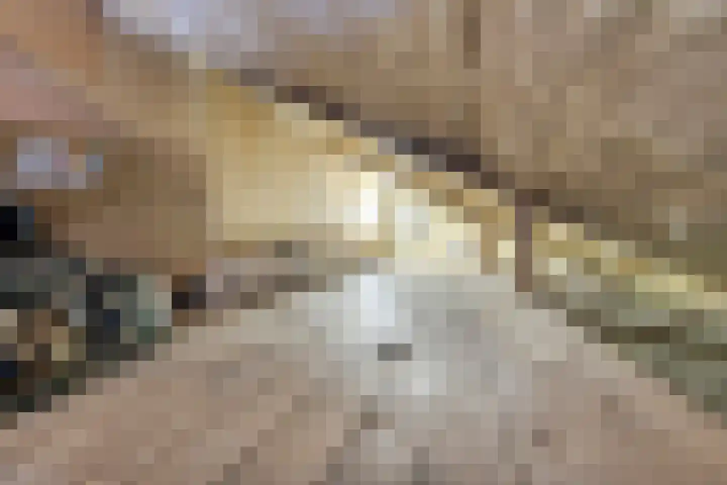 Hanenpad 23 Zaandam thumbnail 27