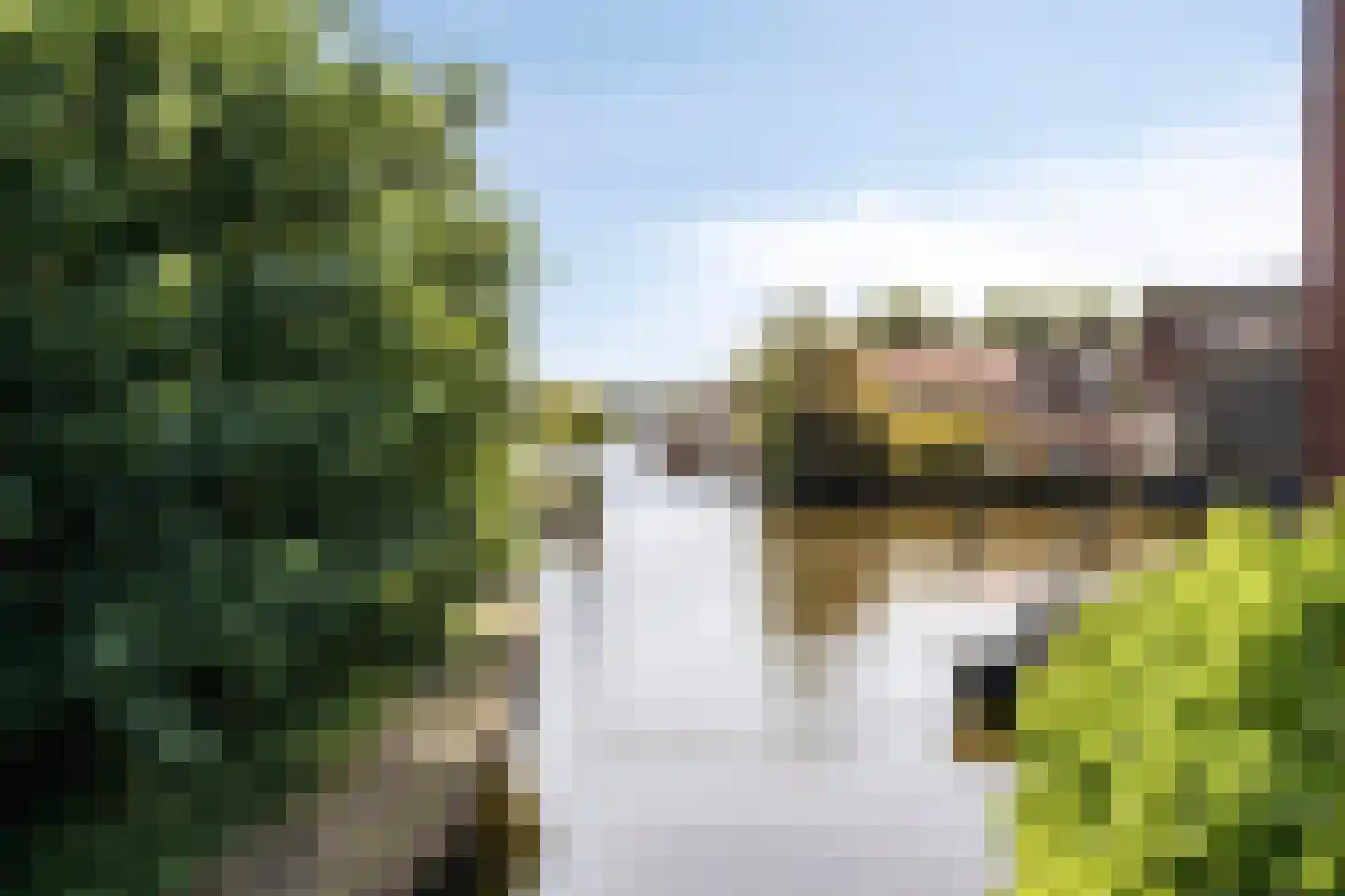 Hanenpad 23 Zaandam thumbnail 37
