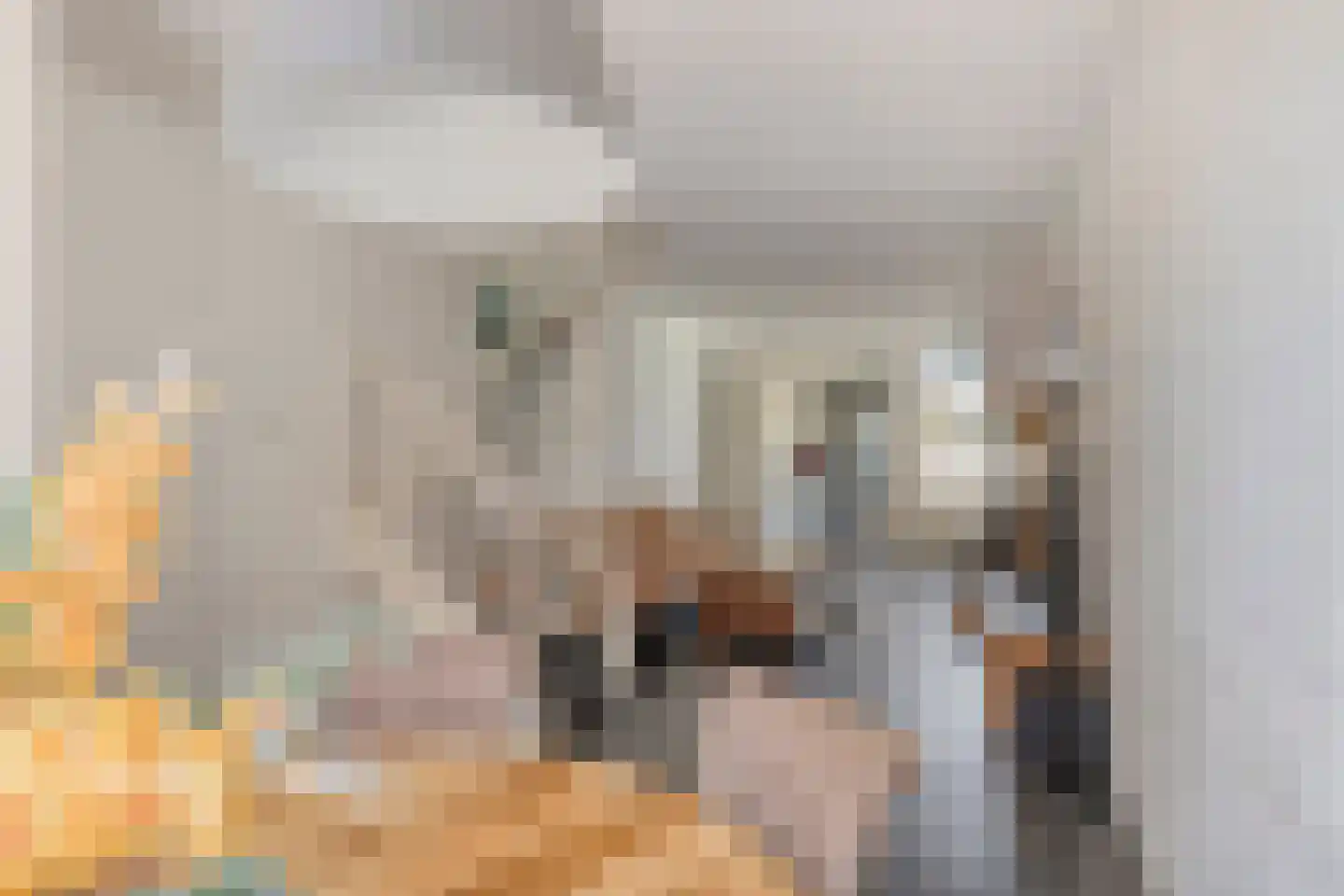 Hanenpad 23 Zaandam thumbnail 4