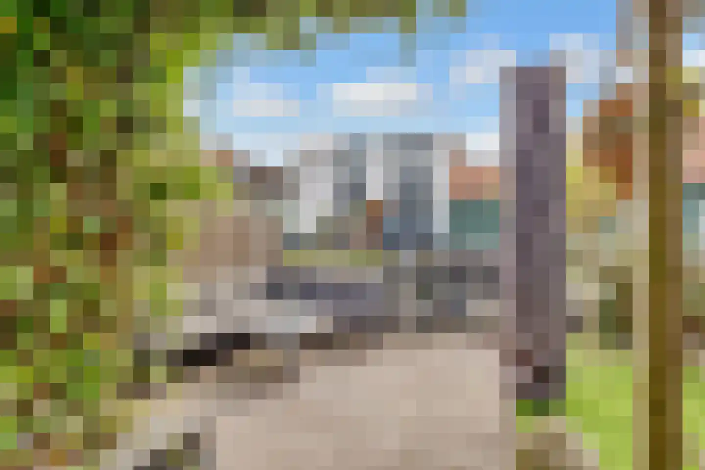 Hanenpad 24 A Zaandam thumbnail 19