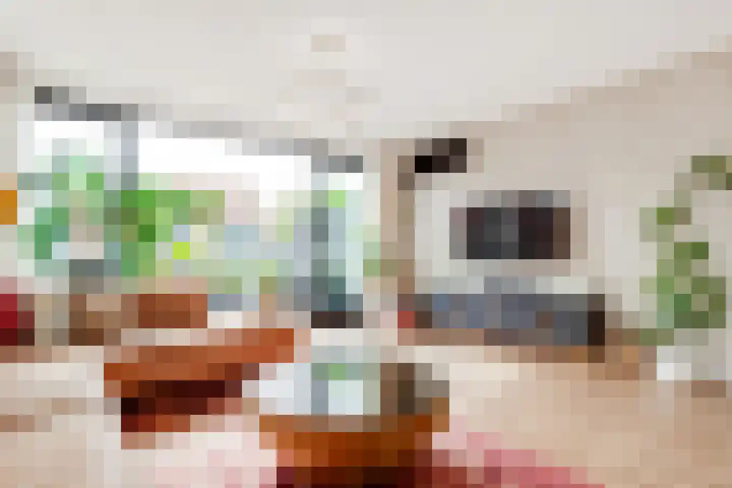 Hanenpad 24 A Zaandam thumbnail 9