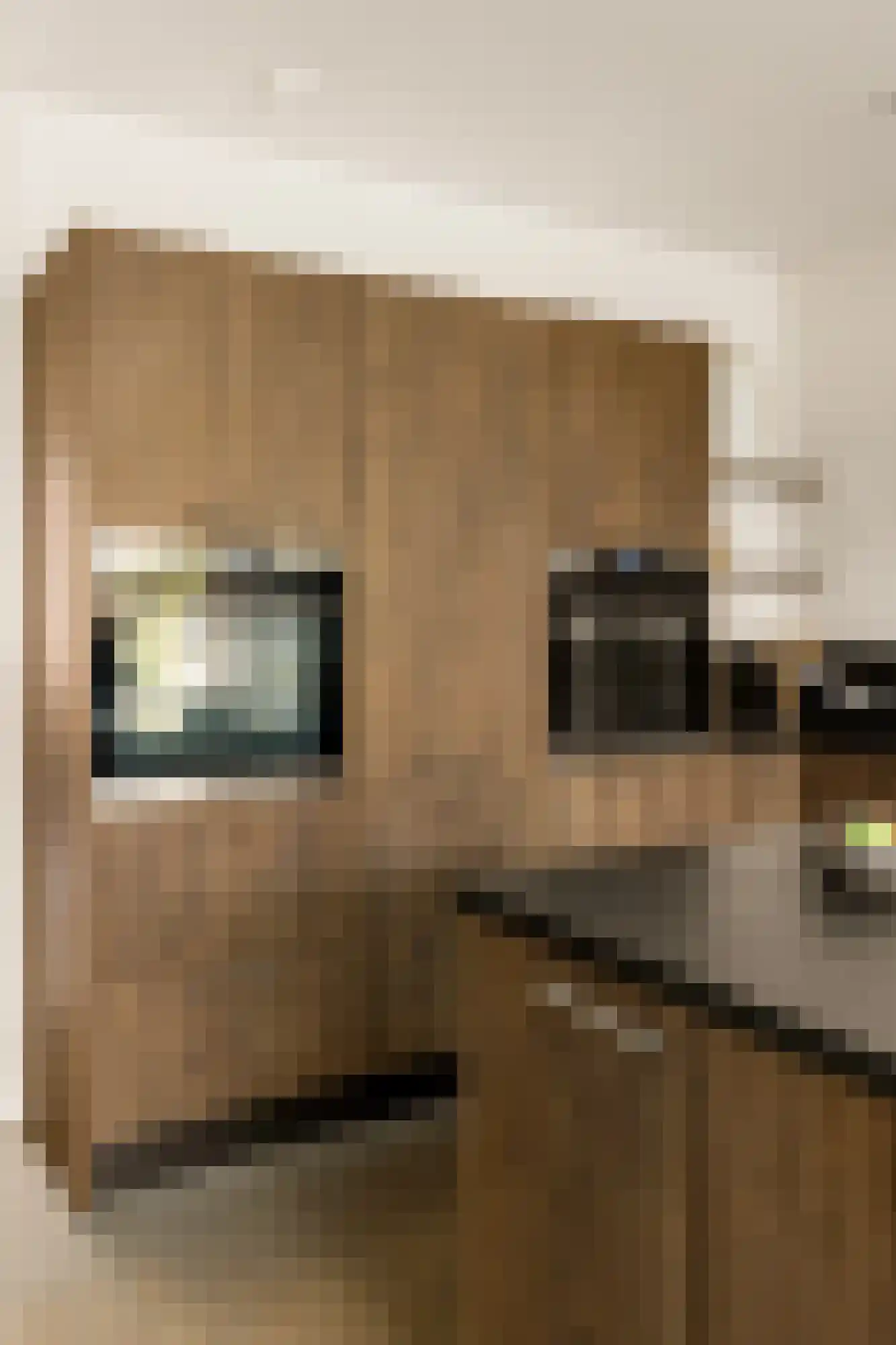 Hanenpad 34 Zaandam thumbnail 22
