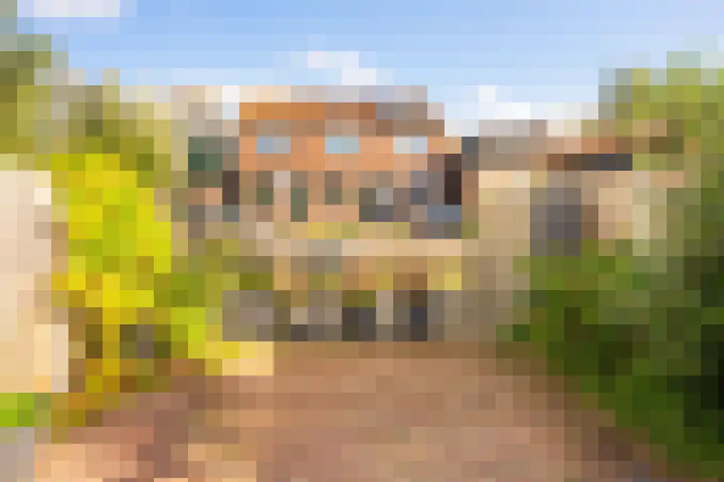 Hanenpad 34 Zaandam thumbnail 35