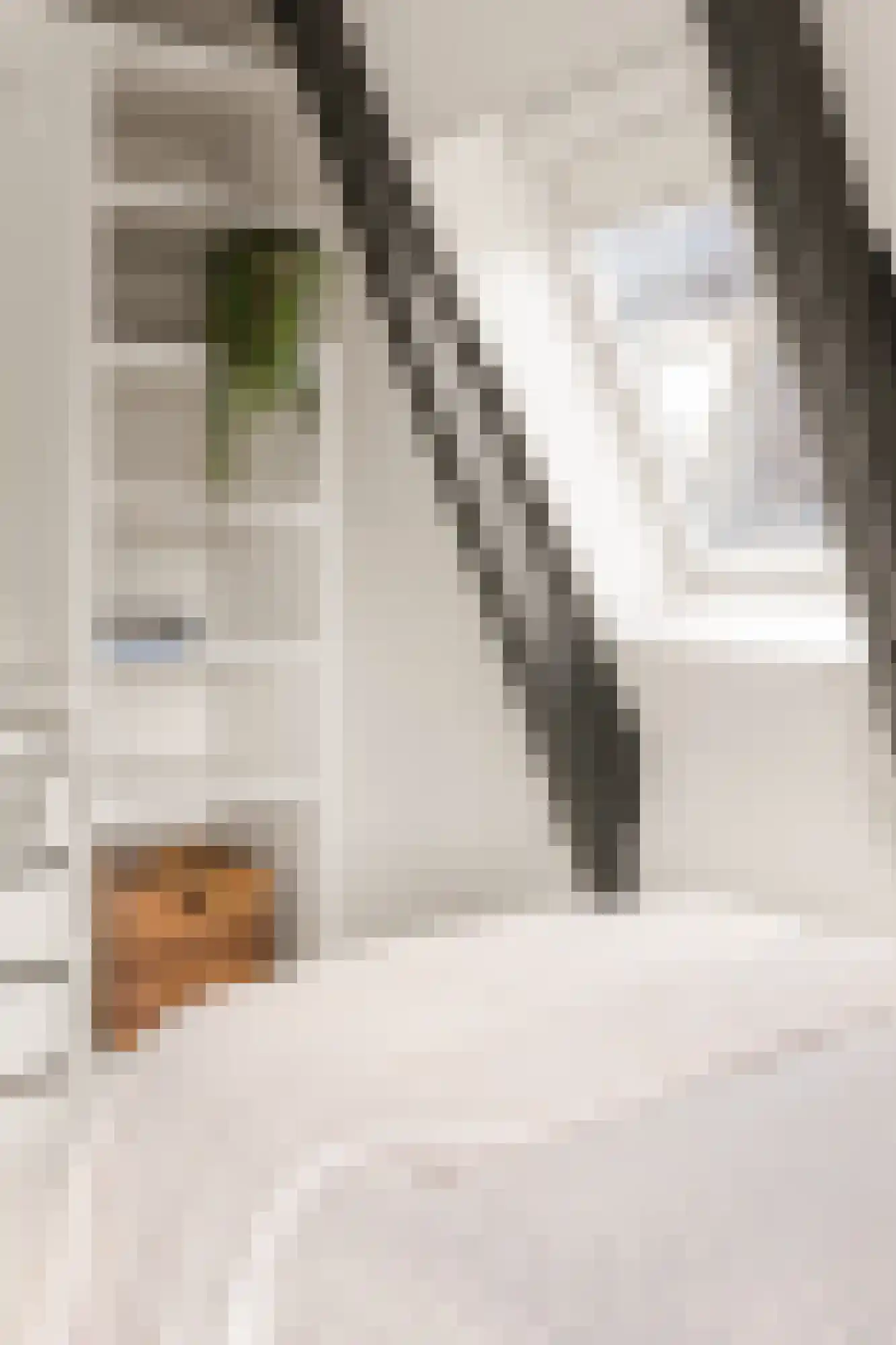 Hanenpad 34 Zaandam thumbnail 44