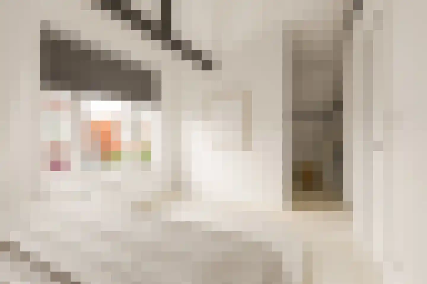 Hanenpad 34 Zaandam thumbnail 53