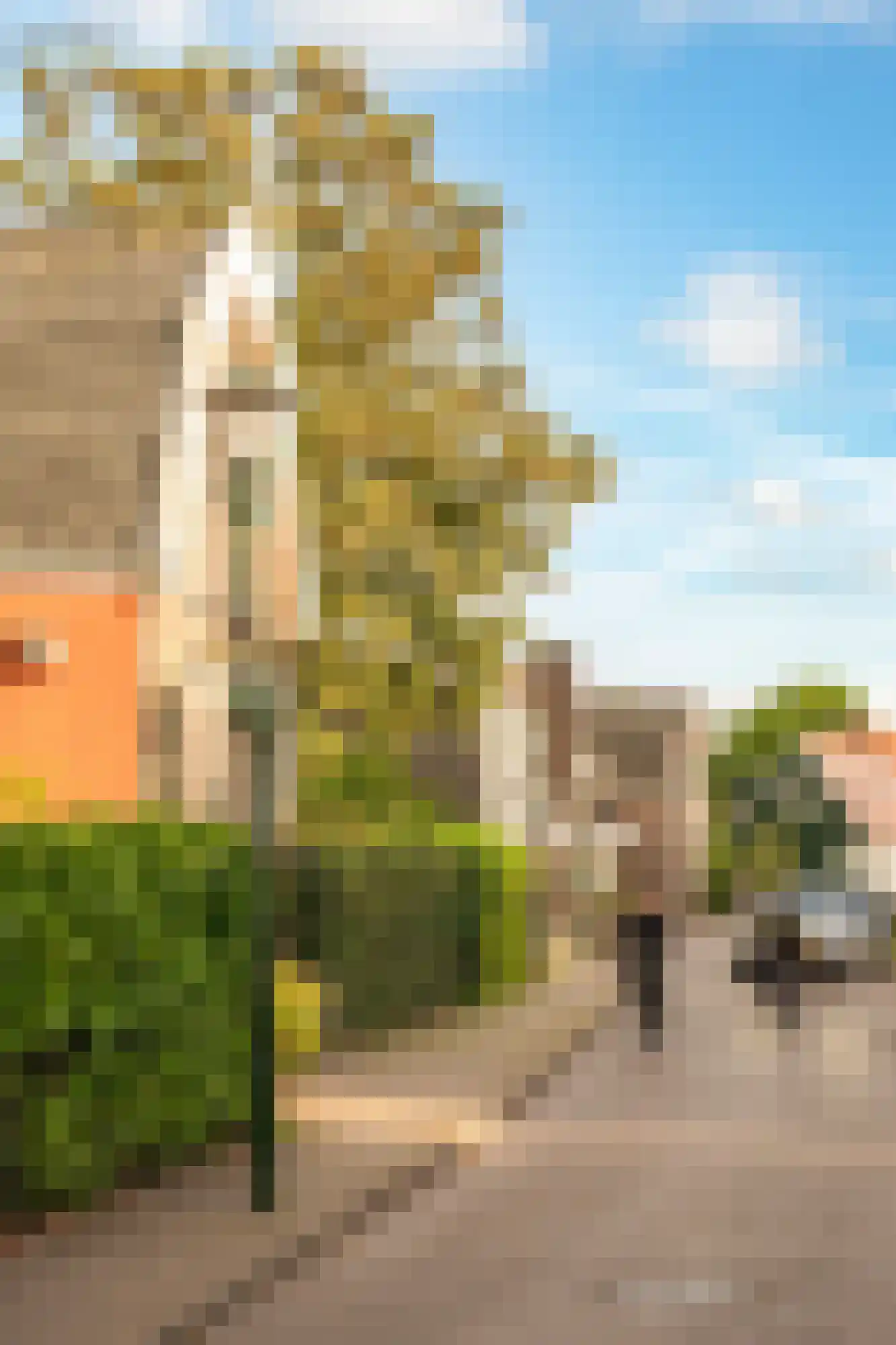 Hanenpad 34 Zaandam thumbnail 62