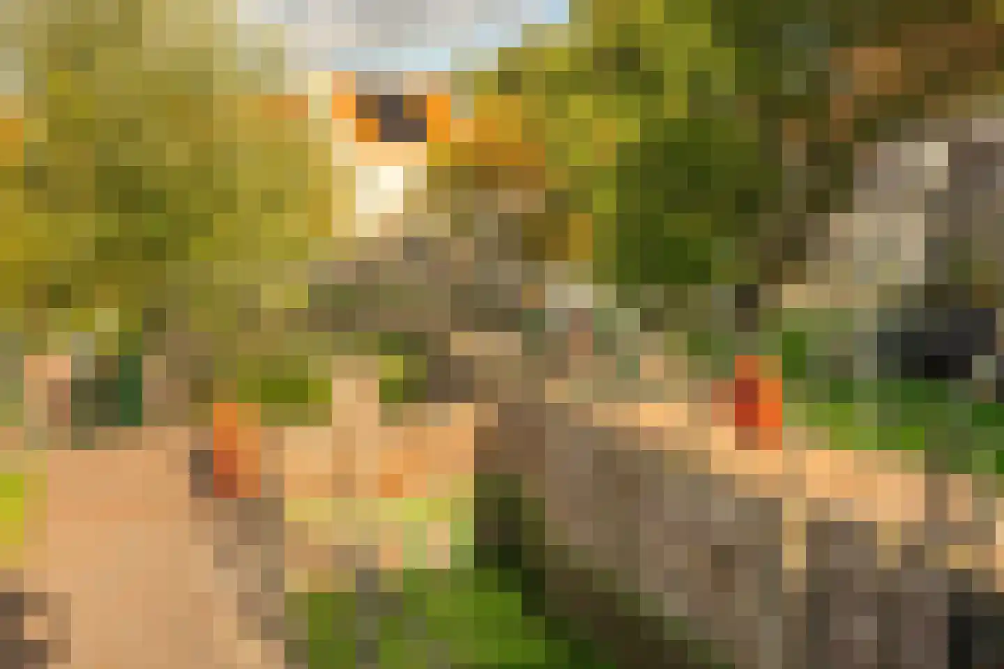 Hanenpad 34 Zaandam thumbnail 63