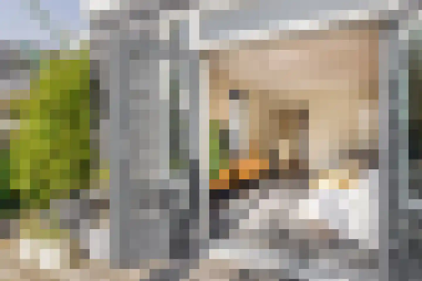 Hanenpad 36 Zaandam thumbnail 25