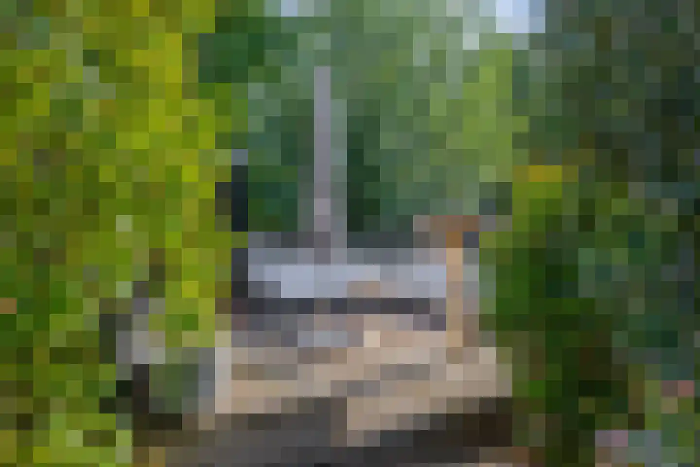 Hanenpad 36 Zaandam thumbnail 28
