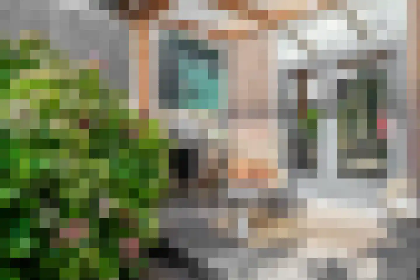 Hanenpad 36 Zaandam thumbnail 32
