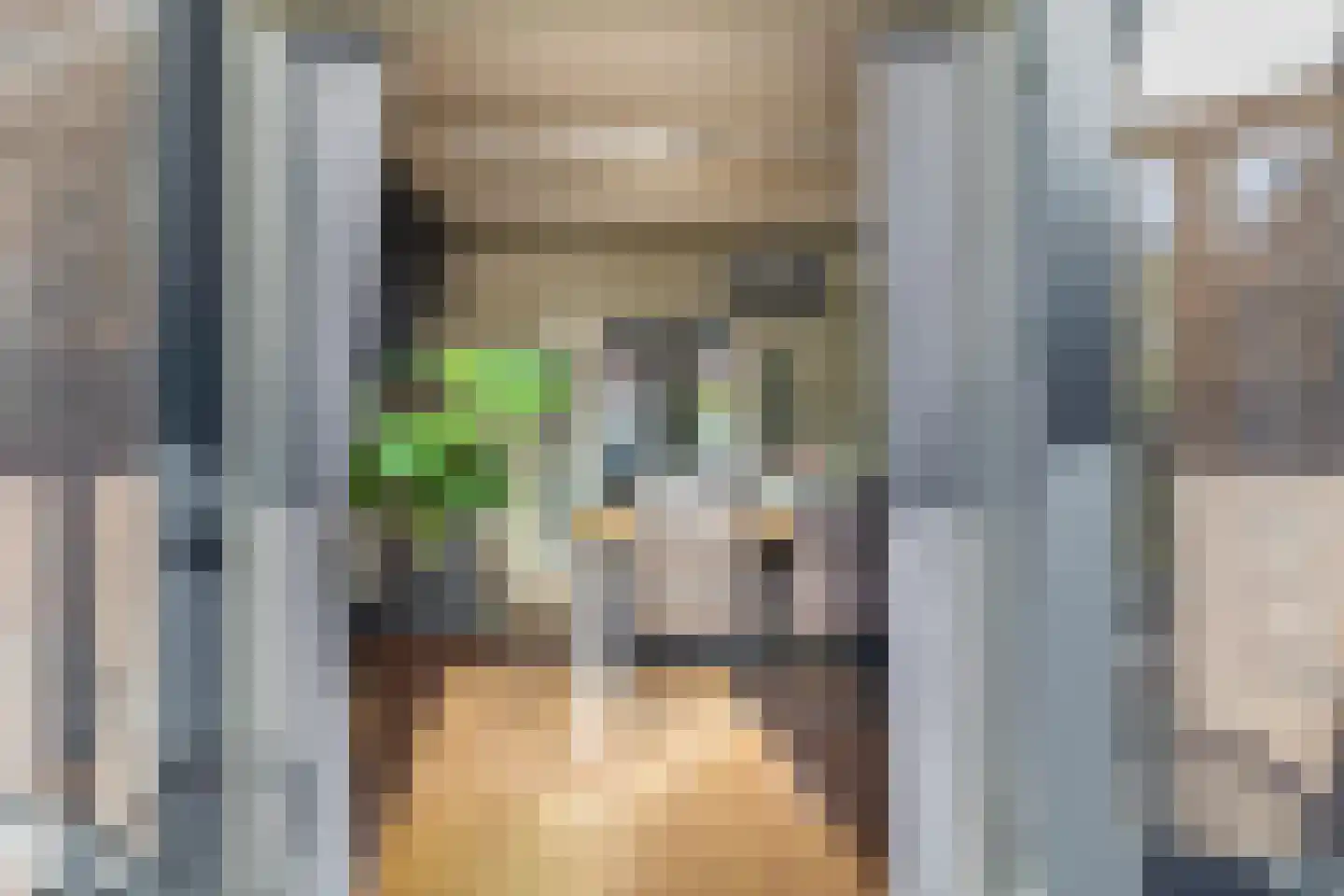 Hanenpad 36 Zaandam thumbnail 33