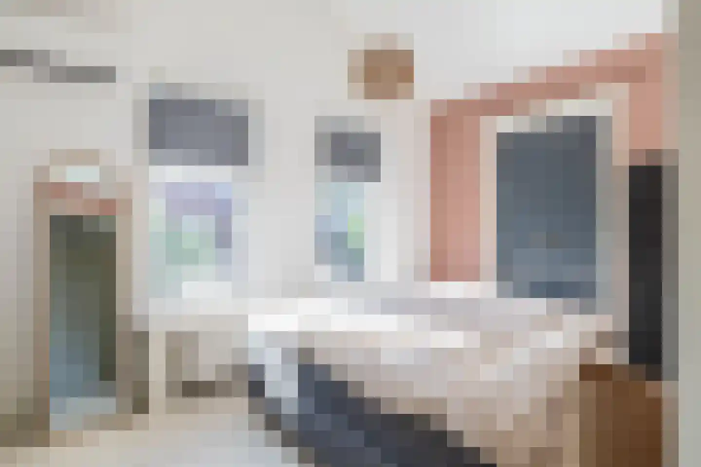 Hanenpad 36 Zaandam thumbnail 38
