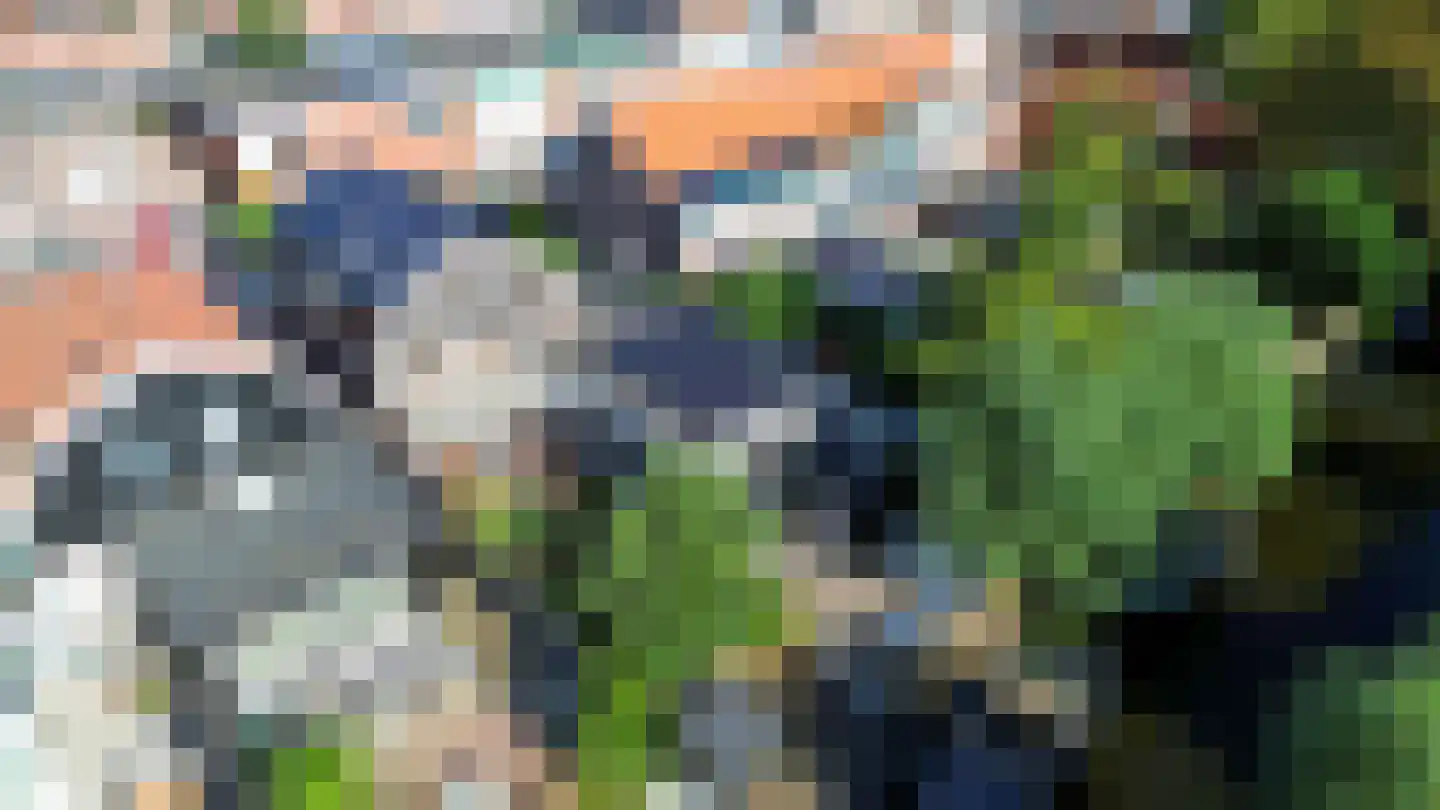 Hanenpad 36 Zaandam thumbnail 50