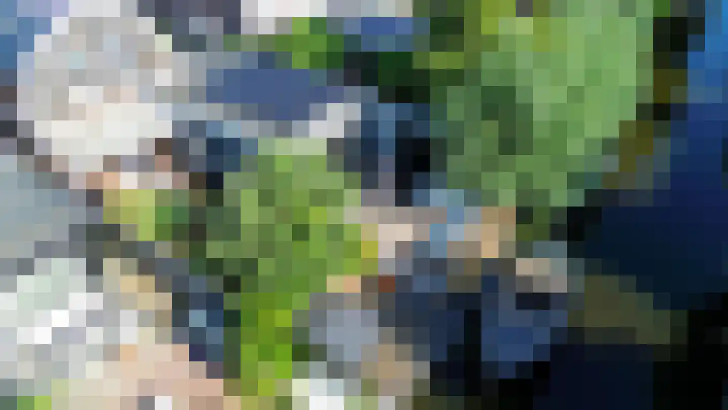Hanenpad 36 Zaandam thumbnail 51