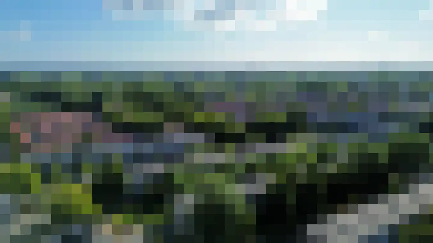 Hanenpad 36 Zaandam thumbnail 54