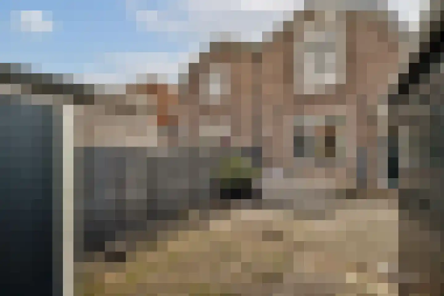 Hanenpad 39 Zaandam thumbnail 12