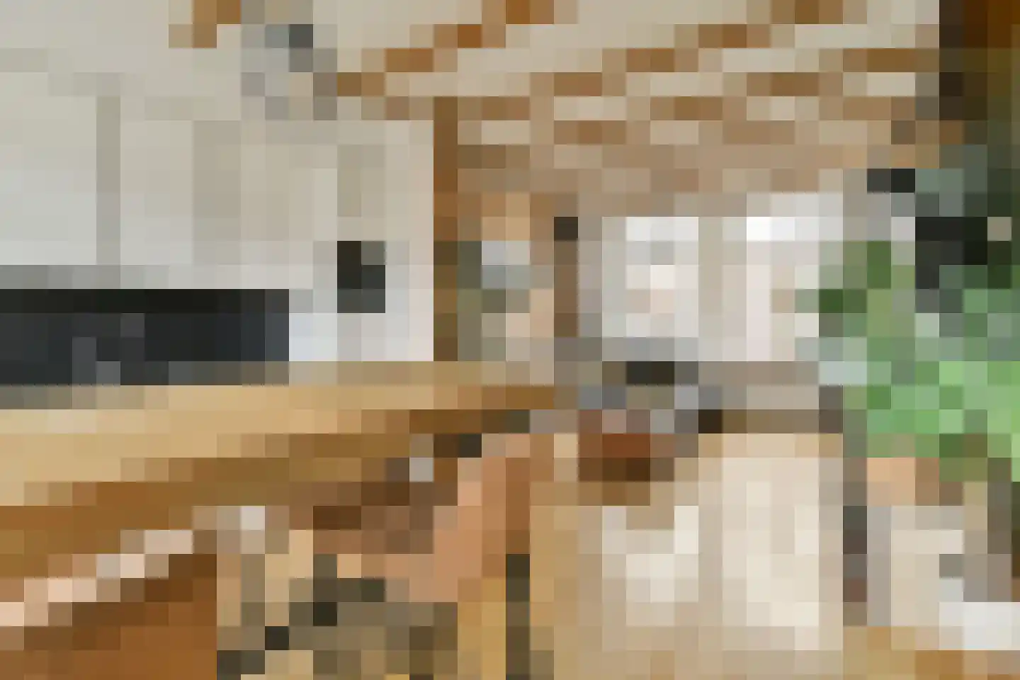 Hanenpad 39 Zaandam thumbnail 8