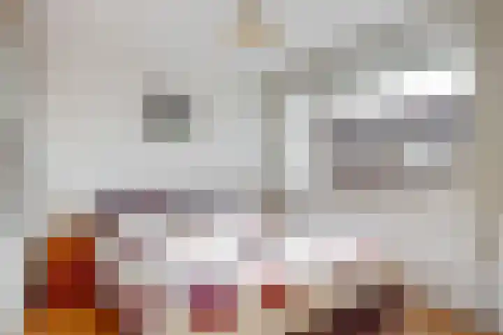 Hanenpad 45 Zaandam thumbnail 13