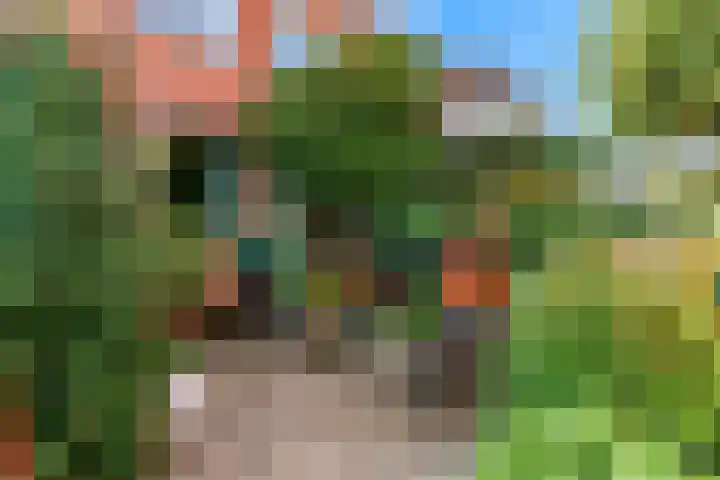 Hanenpad 45 Zaandam thumbnail 26