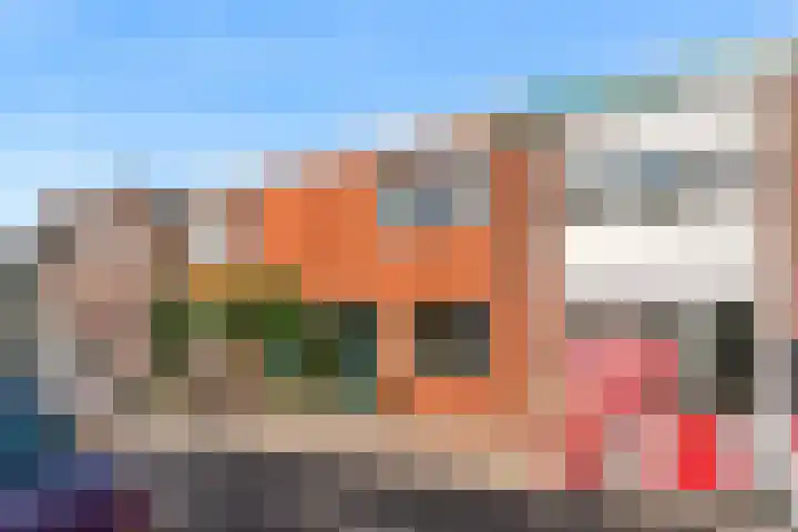 Hanenpad 45 Zaandam thumbnail 27
