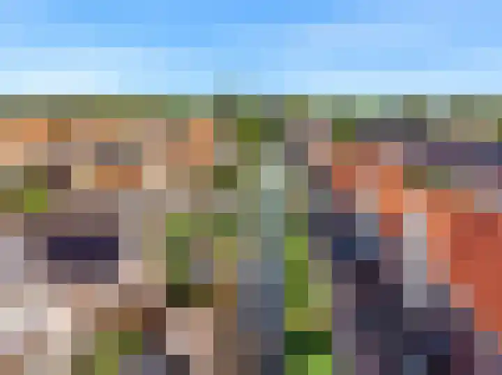 Hanenpad 45 Zaandam thumbnail 32