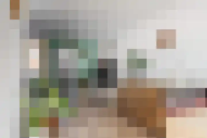 Hanenpad 45 Zaandam thumbnail 8