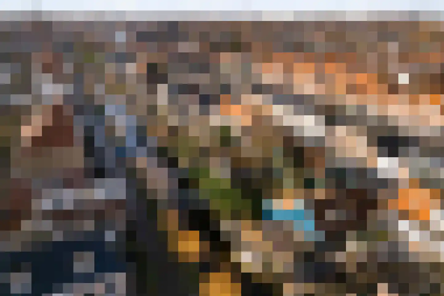 Hanenpad 47 A Zaandam thumbnail 20