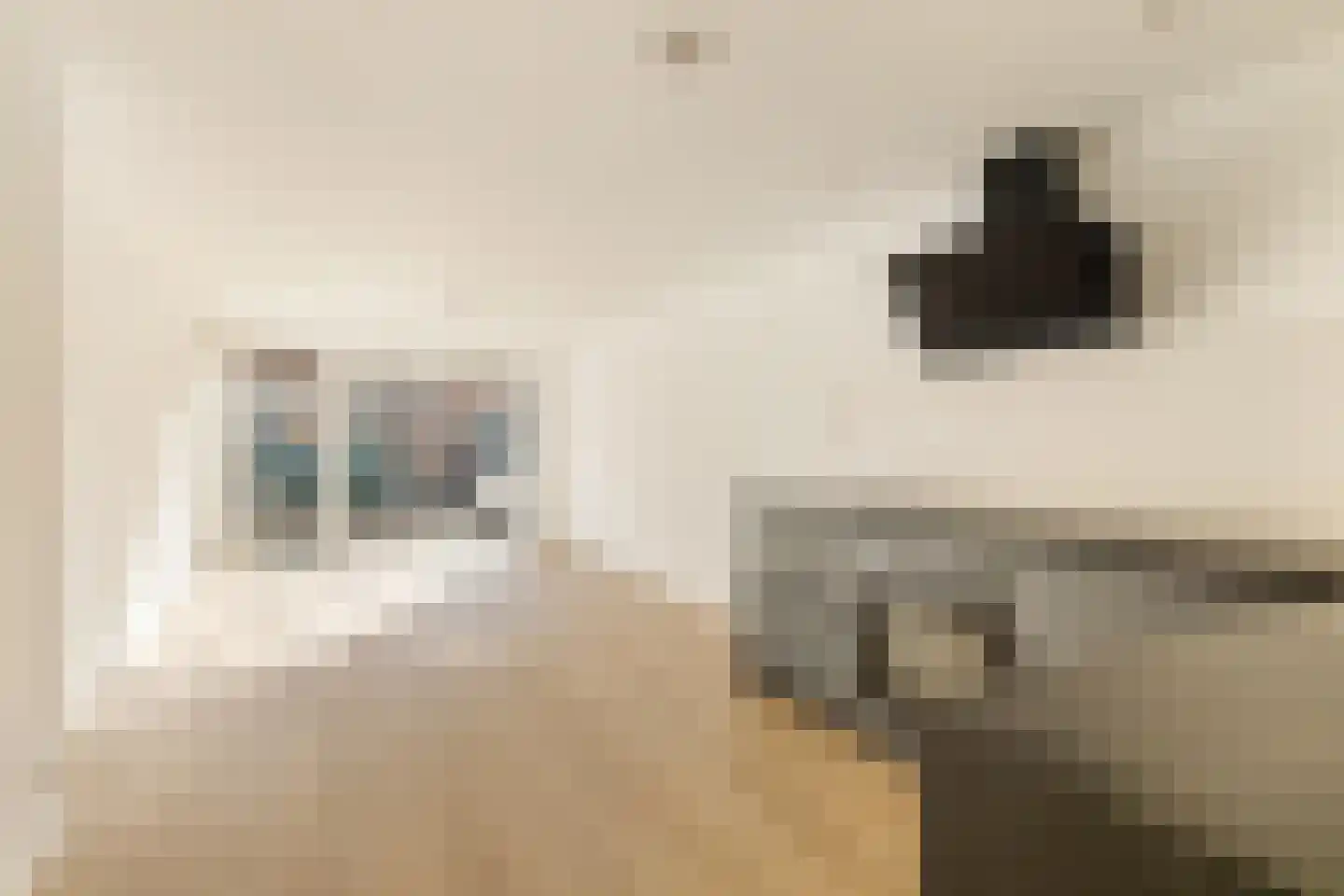 Hanenpad 47 A Zaandam thumbnail 8