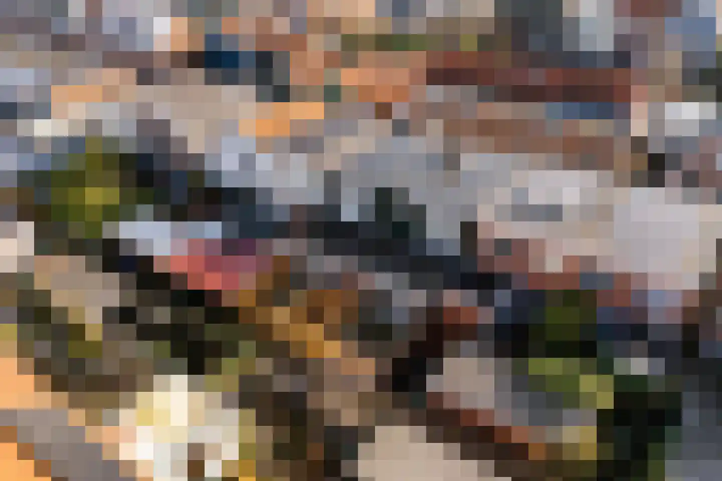 Hanenpad 47 B Zaandam thumbnail 24