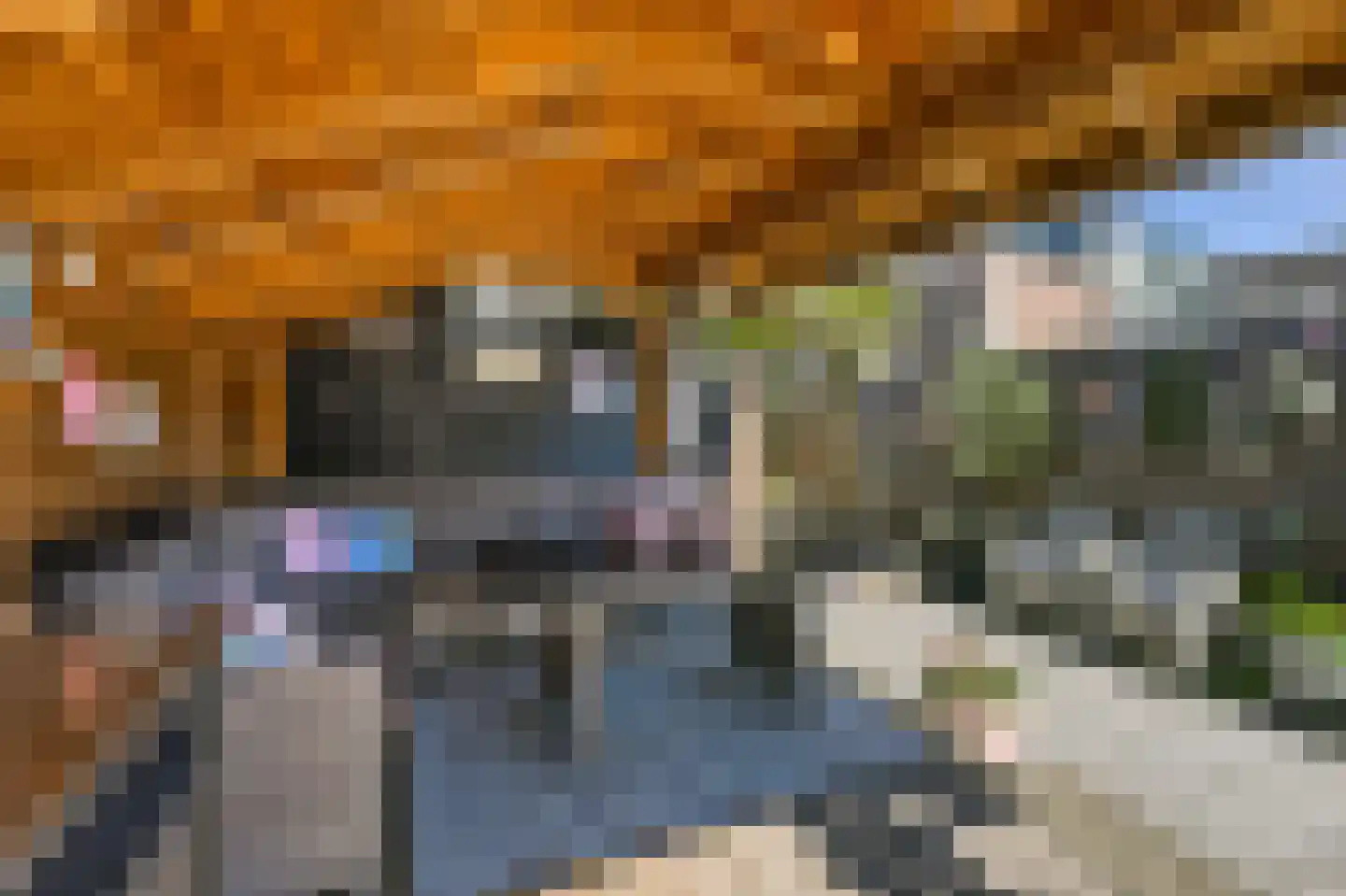 Hanenpad 54 Zaandam thumbnail 20
