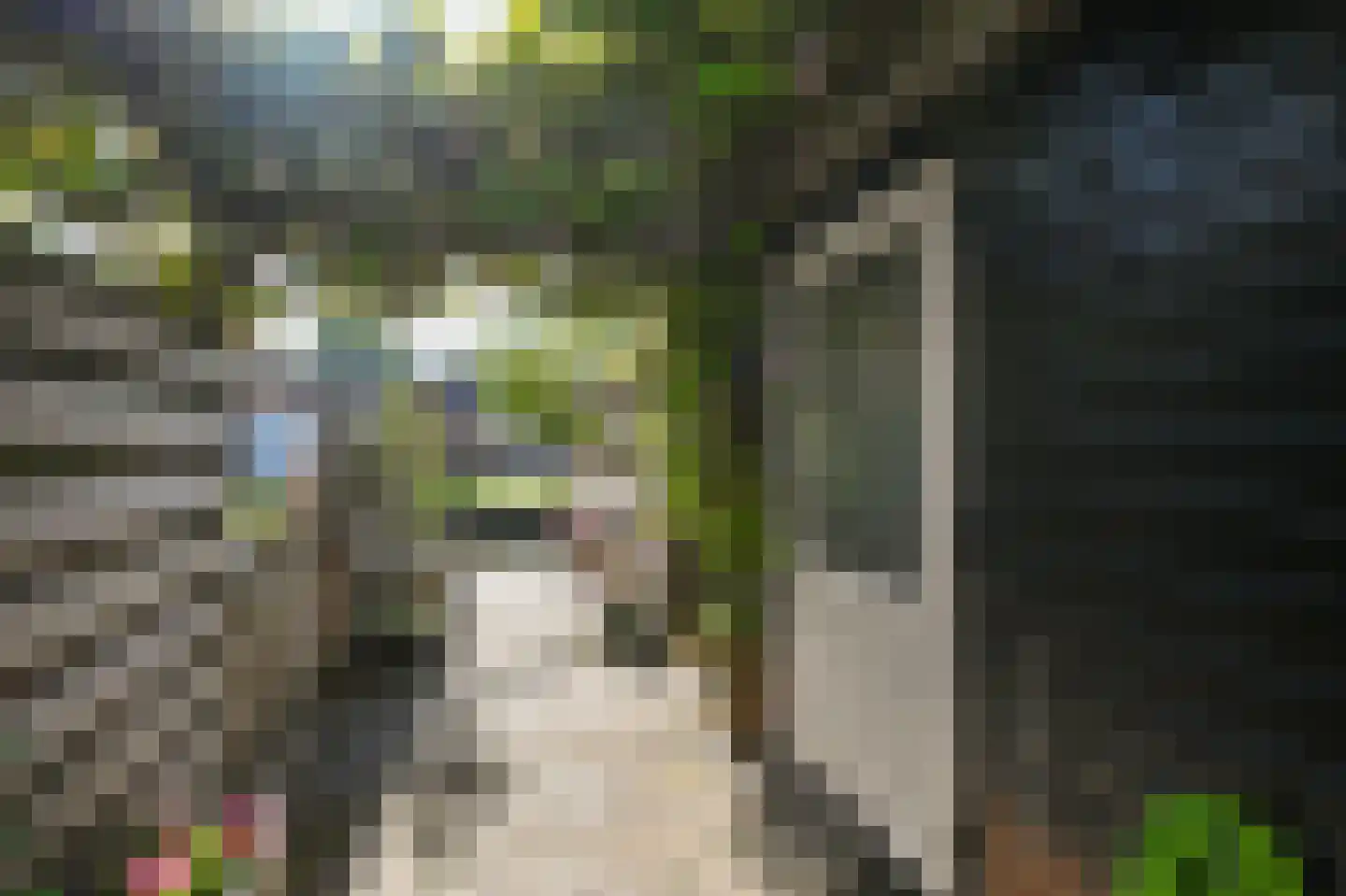 Hanenpad 54 Zaandam thumbnail 25
