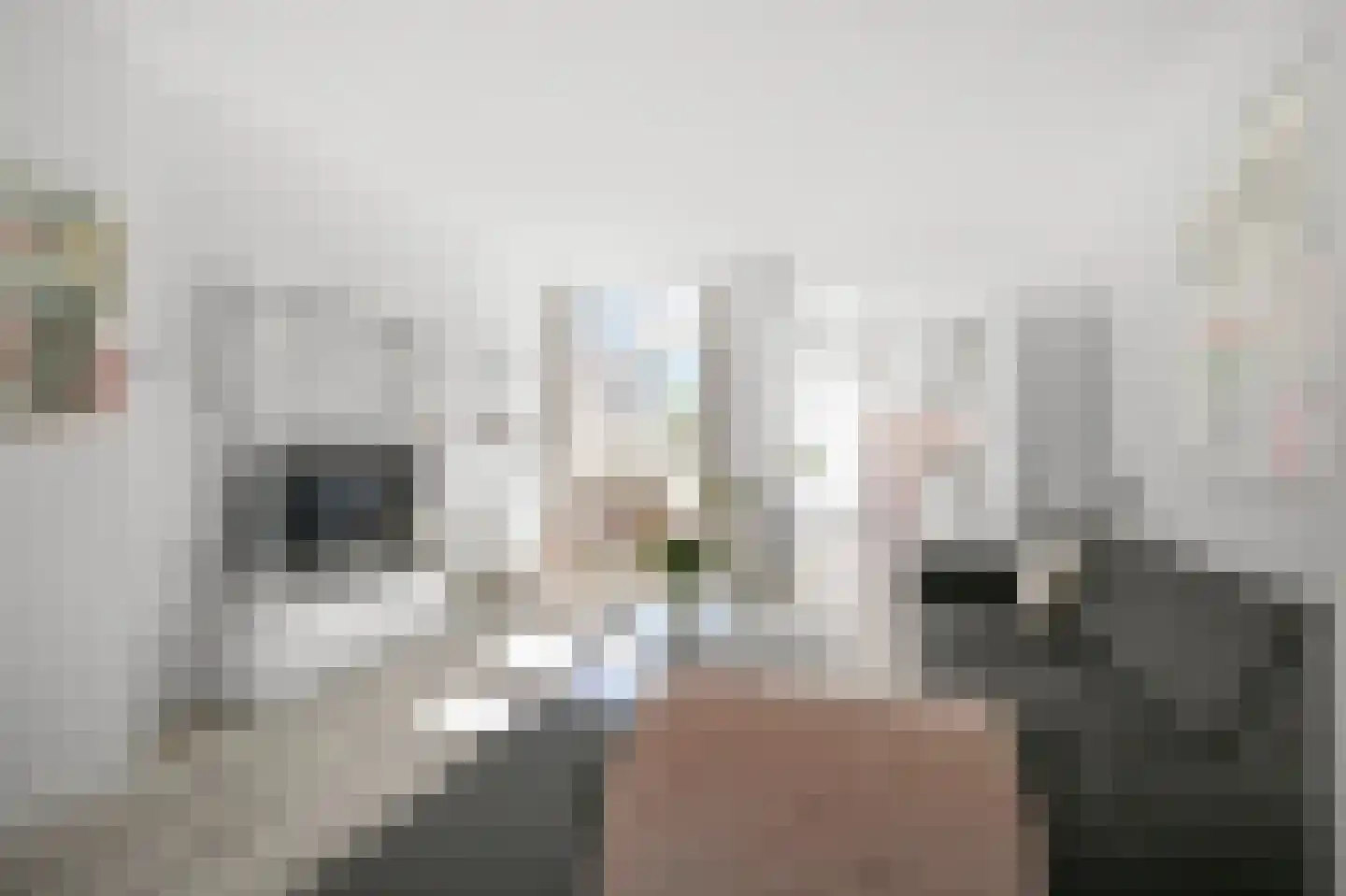 Hanenpad 54 Zaandam thumbnail 6