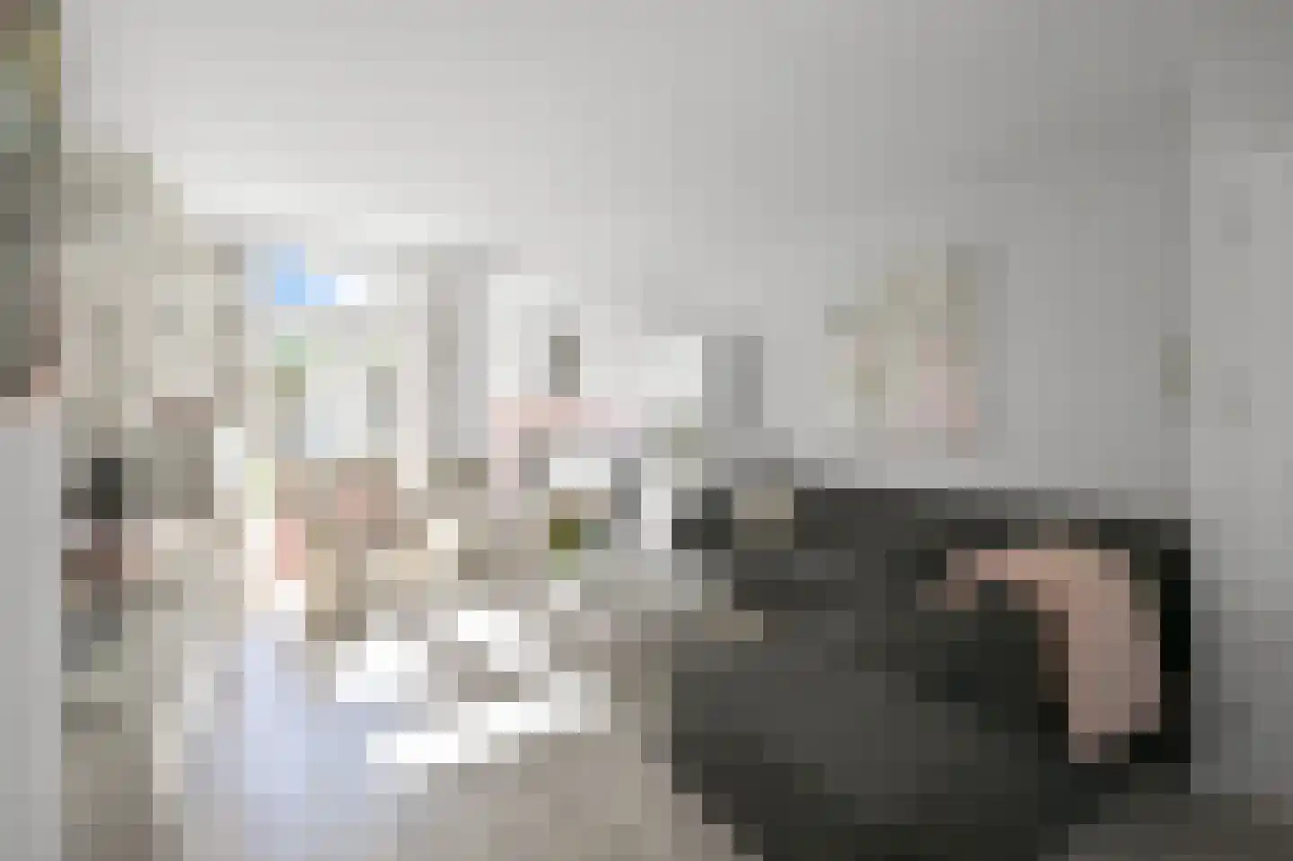 Hanenpad 54 Zaandam thumbnail 7