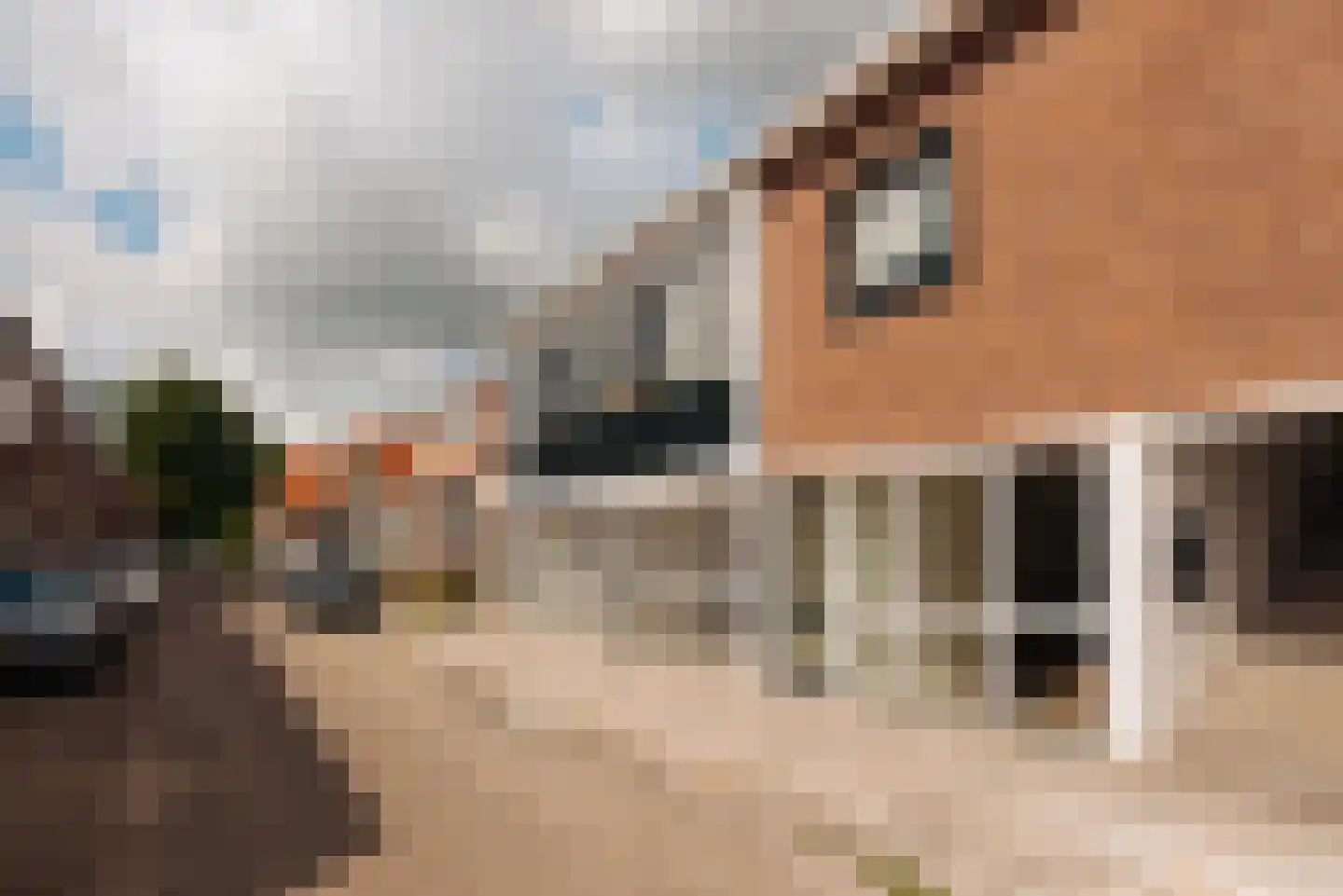 Hanenpad 61 D Zaandam