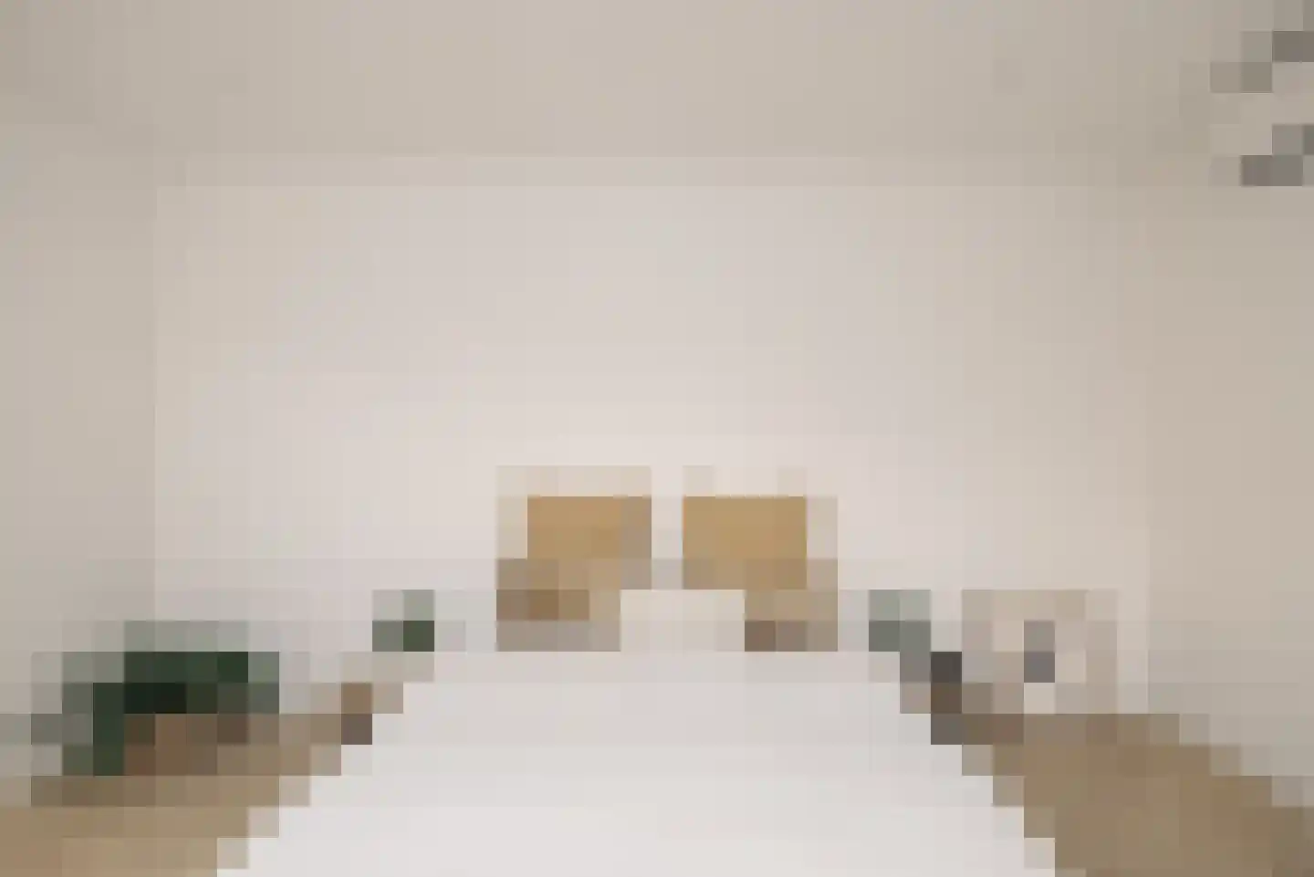 Hanenpad 61 D Zaandam thumbnail 8